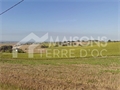 Image du bien UBI440044565